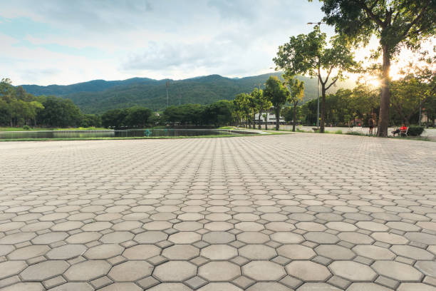 Professional Driveway Pavers in Rancho Viejo, TX